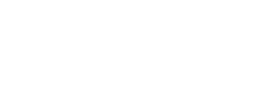logo romagnoli